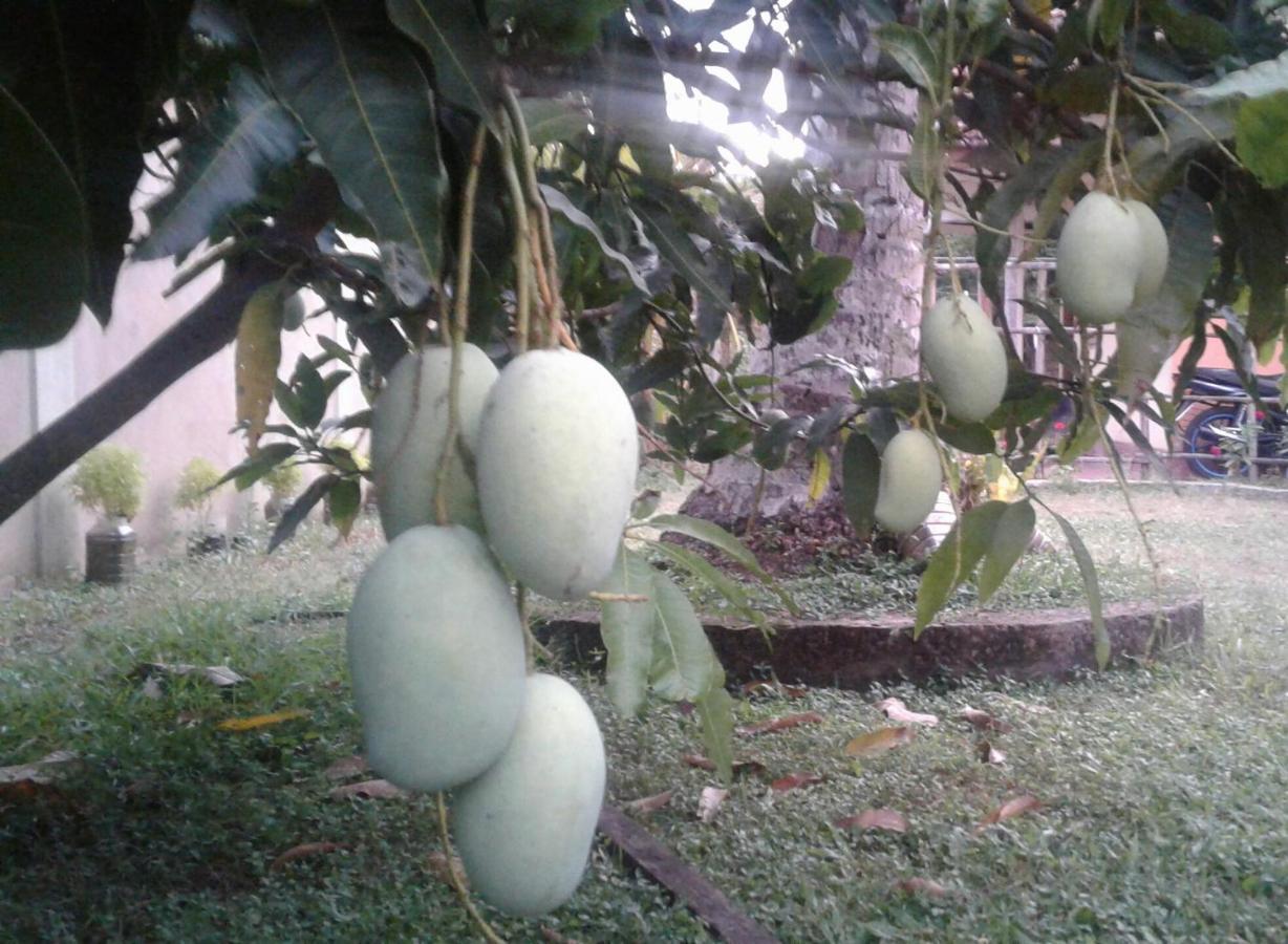 Sanithu Homestay And Villa Galle Esterno foto